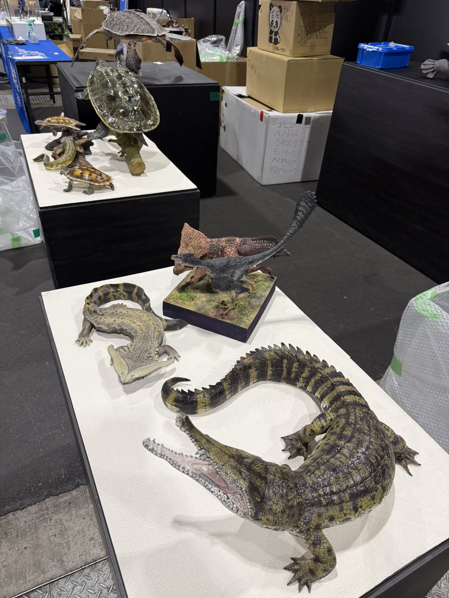 八木厚昌 tweet media