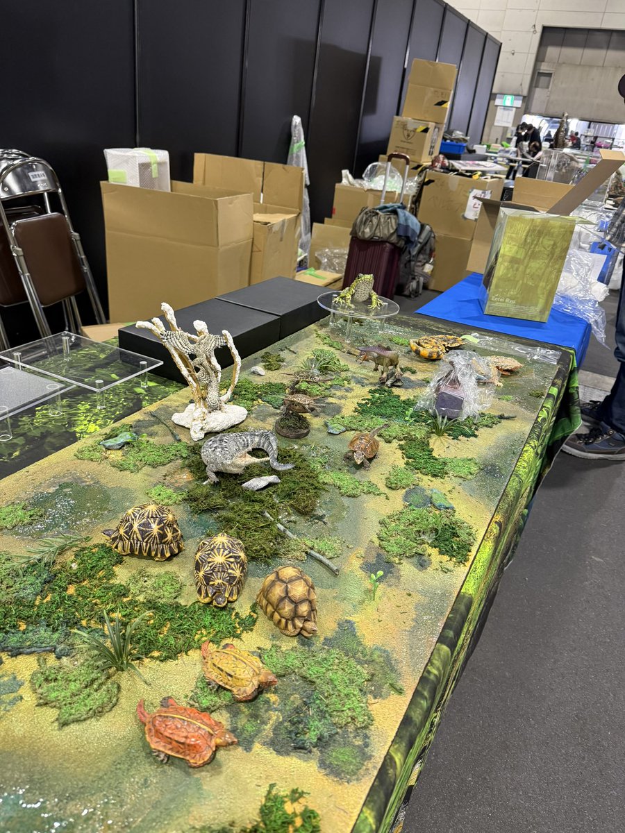 八木厚昌 tweet media