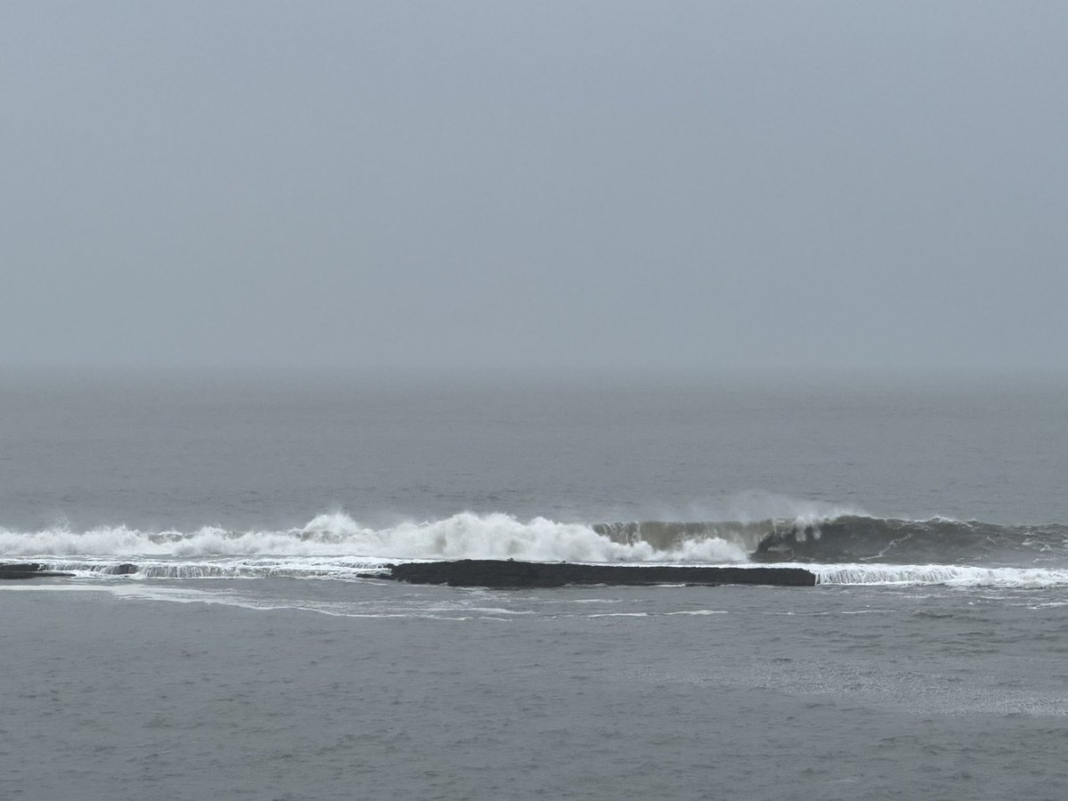 SeaWindowCraster tweet media