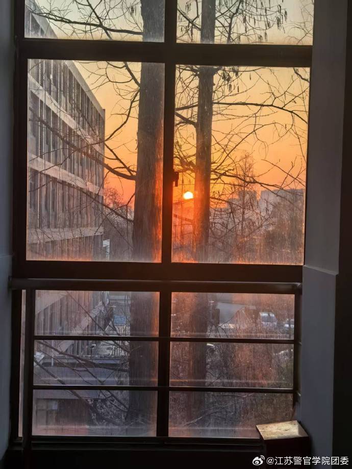 Cassandra Leopold tweet media