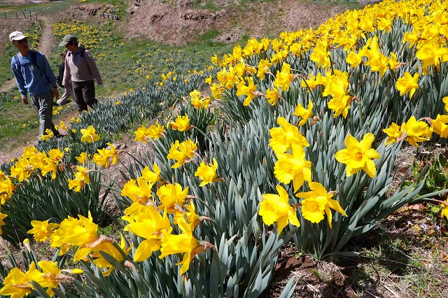 東信ジャーナル社 tweet media