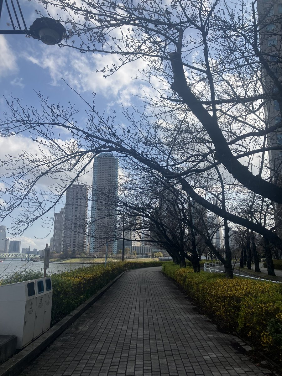none928's tweet photo. 会社に来たついでにさくら見ようと思ったのにまだあんまりだな〜 https://t.co/5AnytIpRMN