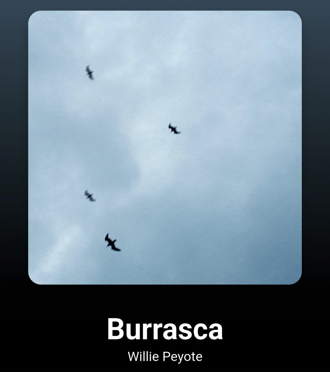_pacificic's tweet photo. Quante volte l'hai sentita da 1 a E col mare in burrasca resisto se mi aggrappo a te https://t.co/ITOglJZlvY