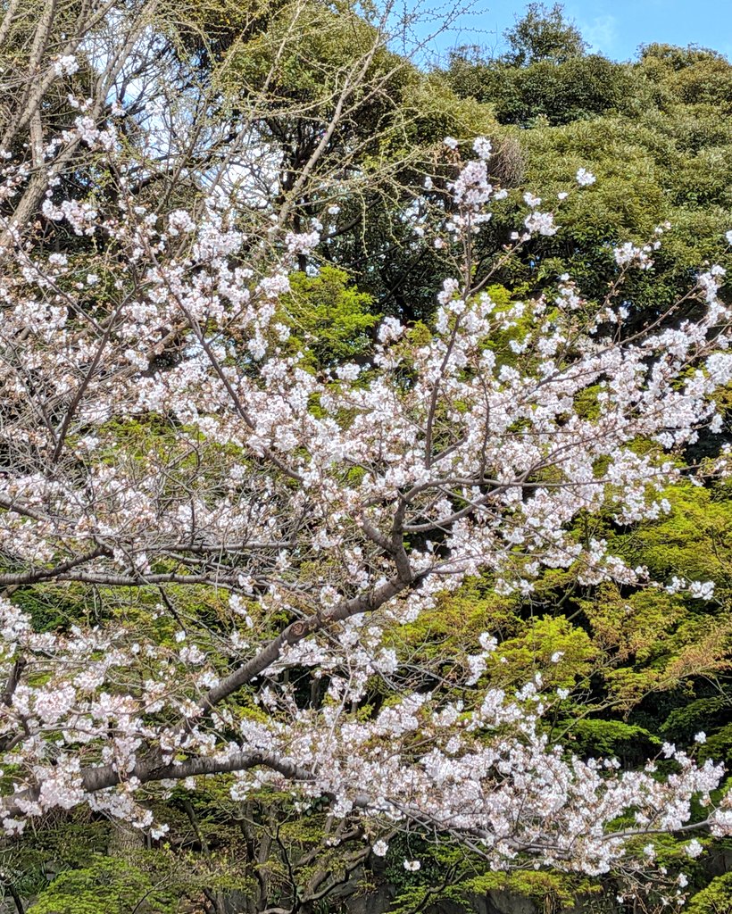 まいねぇ。 tweet media