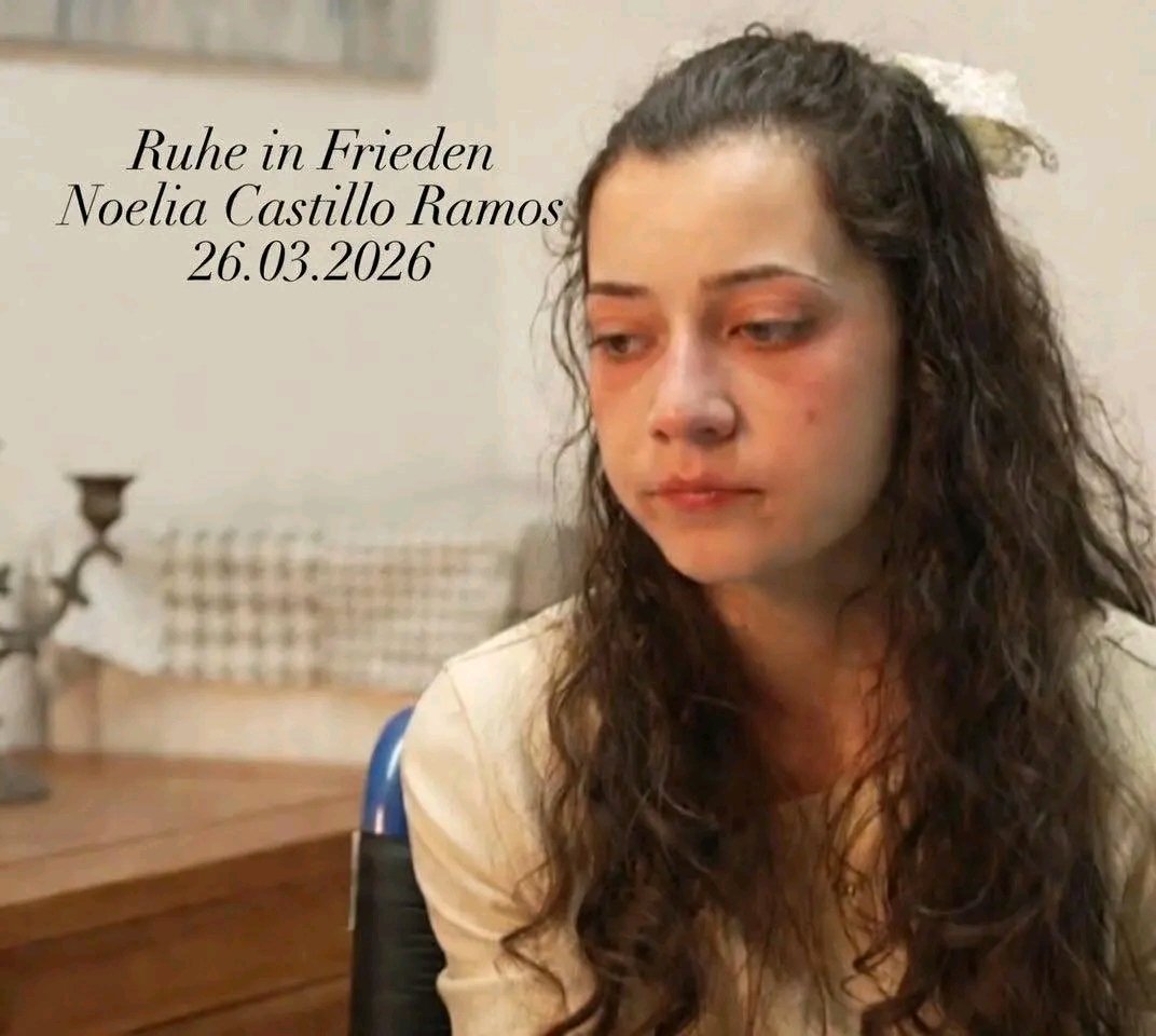 Daniel Vollmer🇩🇪💙 tweet media