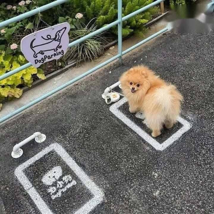 힐링짤모으는곳 tweet media