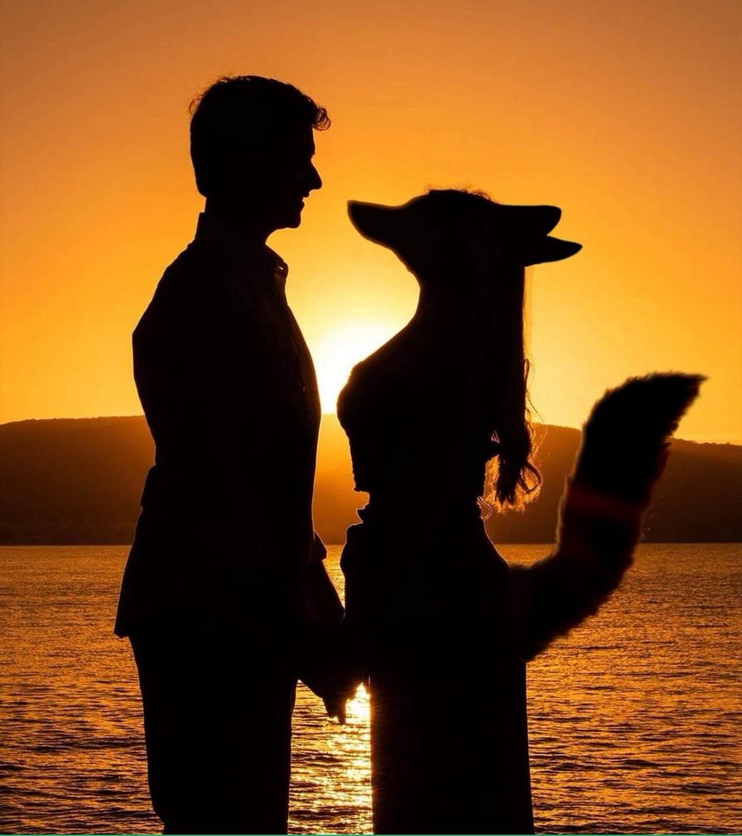 Волкодав Чëрный tweet media