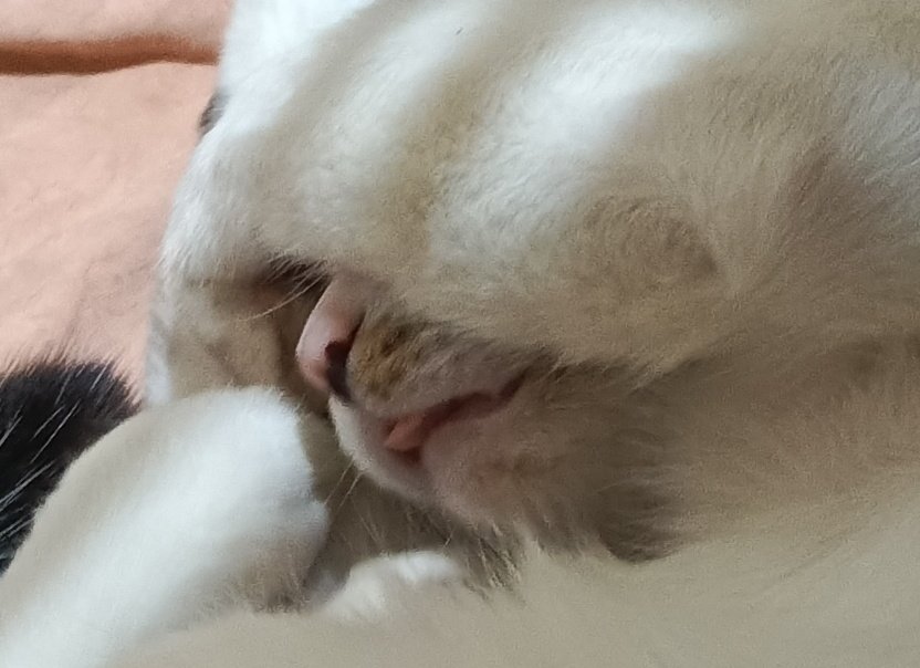 天马行空小美沙 ֙⋆ tweet media