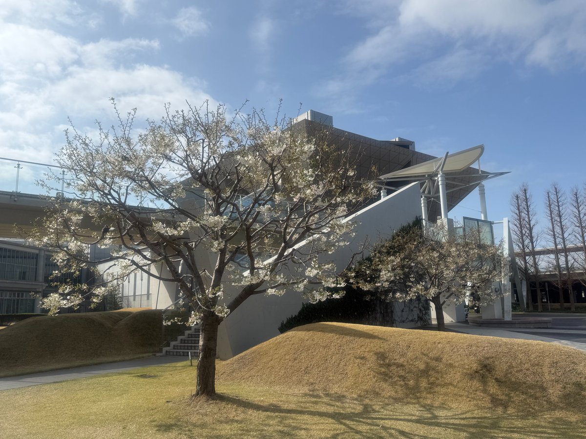 T_Bigsight tweet picture