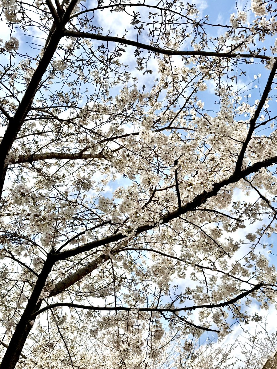 きょーみん🎙小川京美🖋 tweet media