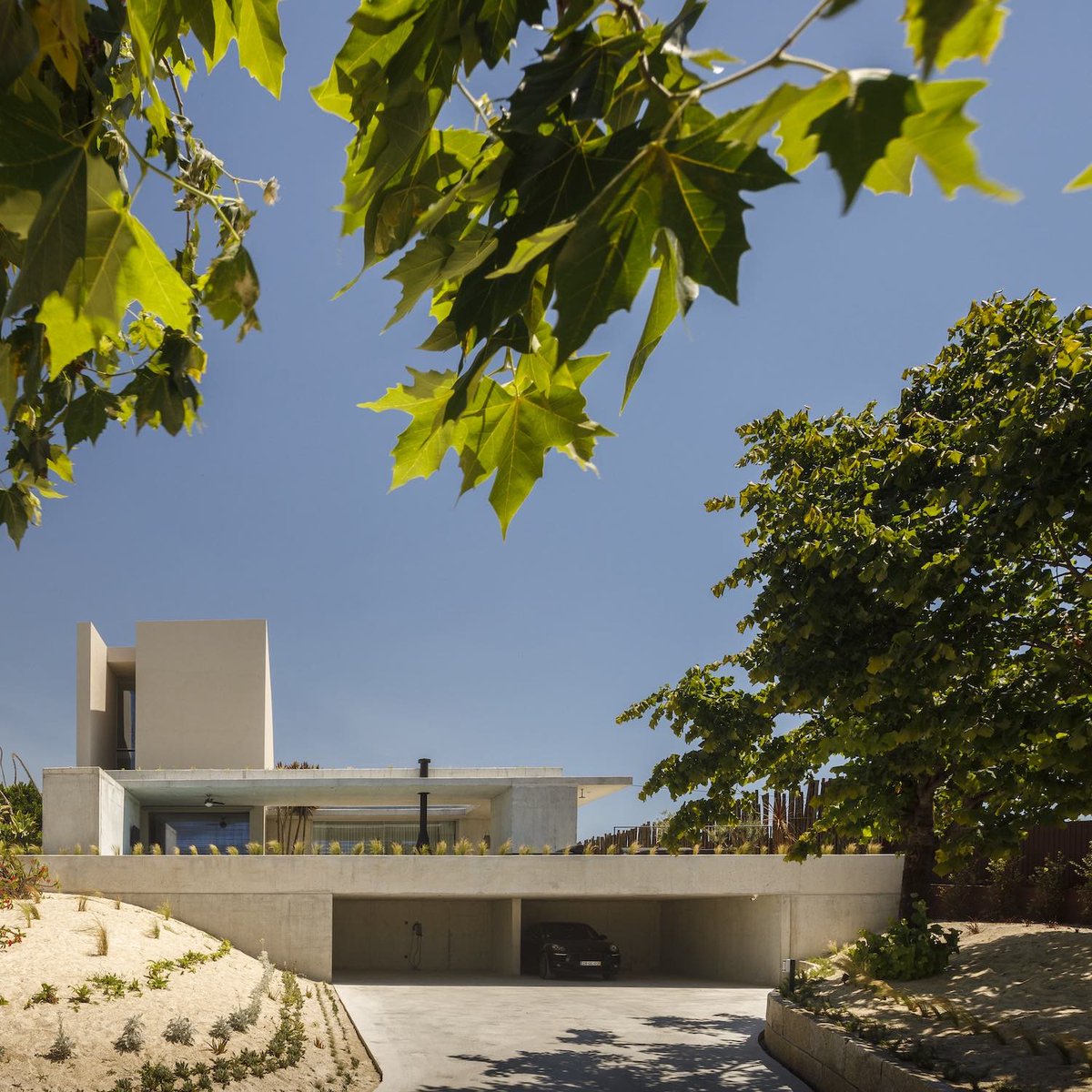 Architectural Art (A-A) tweet media