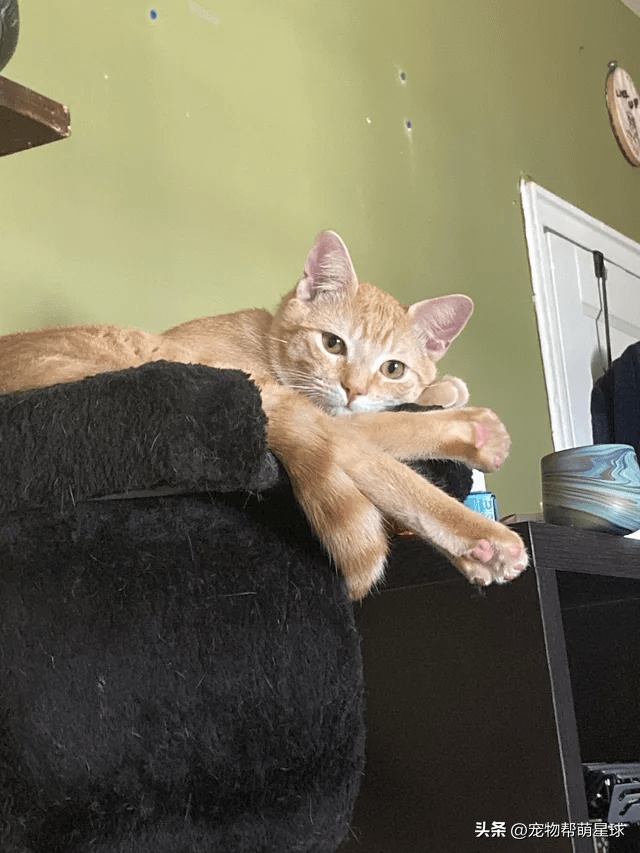 mellissa heffernan tweet media