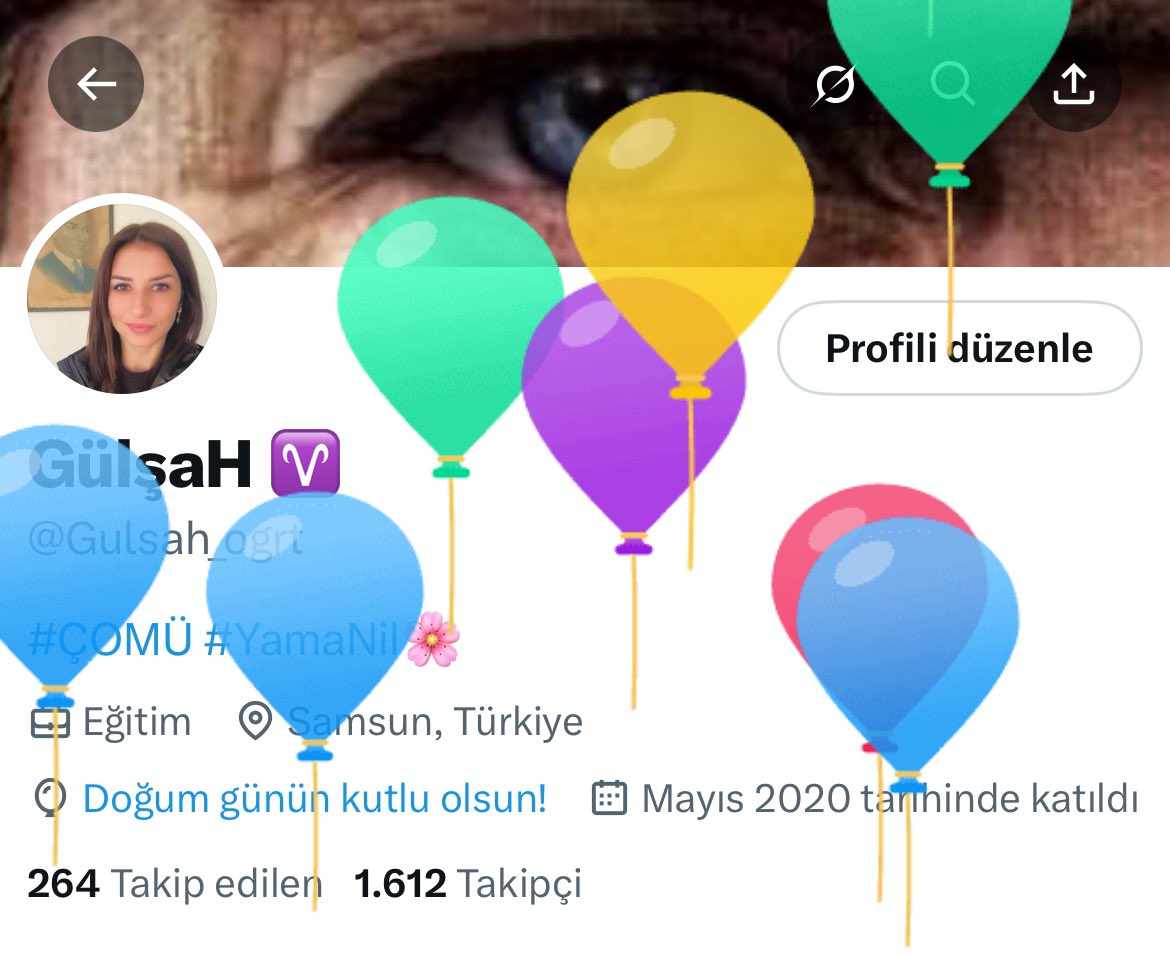 GülşaH ♈️ tweet media