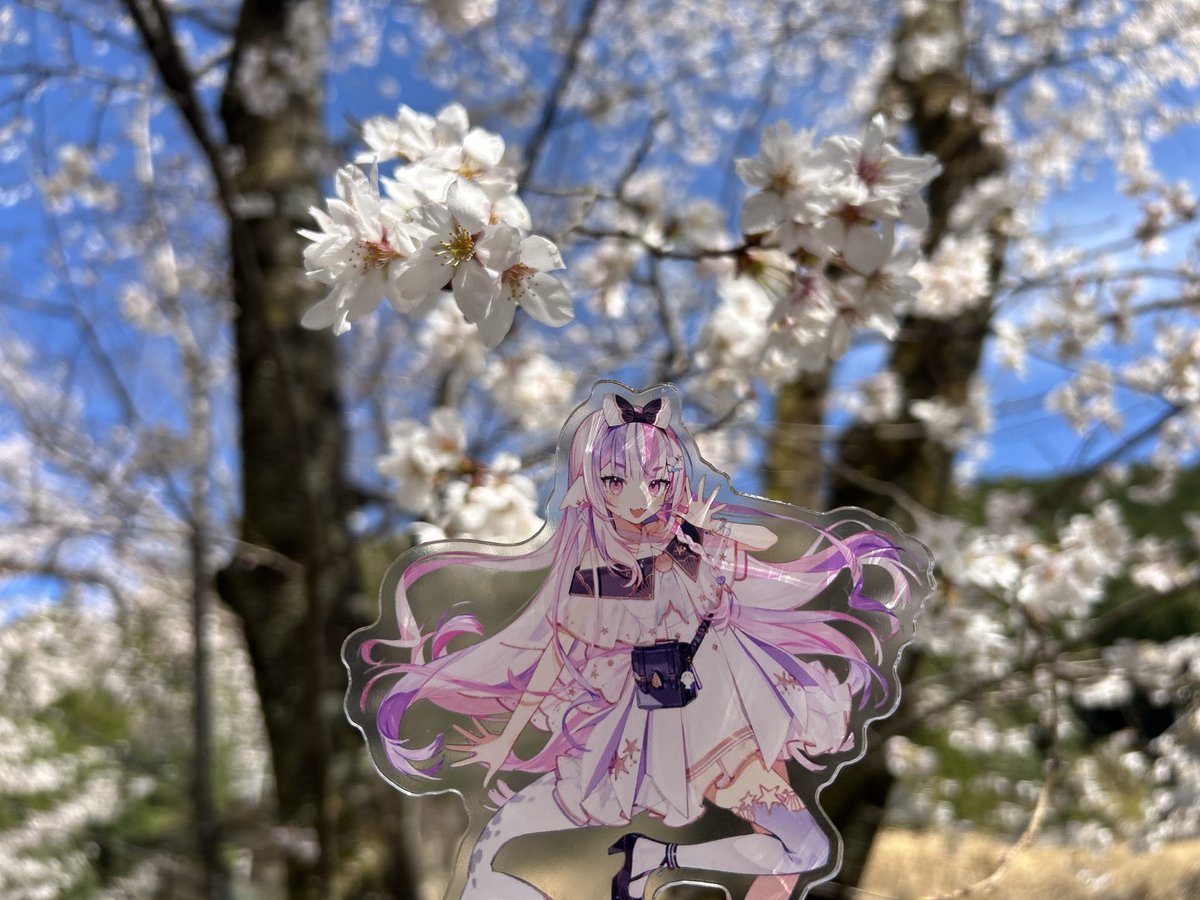 永遠の三流 レグノの人 🌲 tweet media