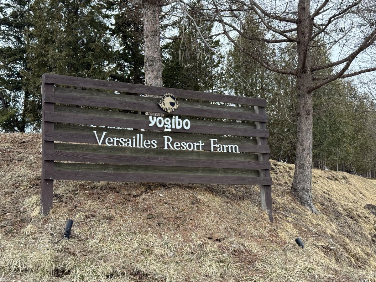 かのぺ@3/29 プリステ45r【ウマ39】 tweet media