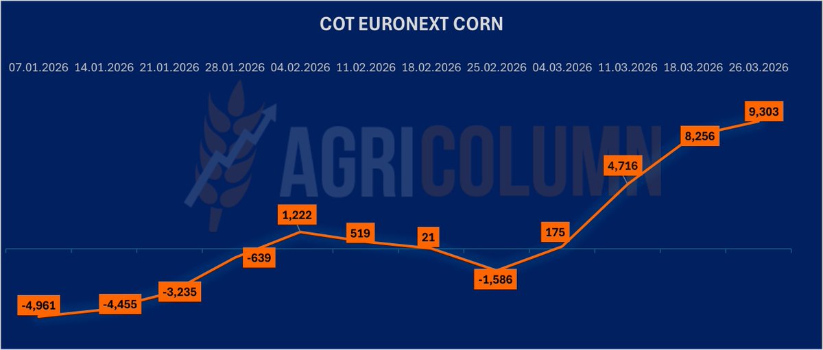 Agricolumn_EU's tweet photo. #COT #Corn #Euronext (Commitment of Traders) – Reporting period 26.03.2026 (−7 days).
Speculative funds are increasing their #LONG exposure, with the #NetLong position rising from +8,256 lots to +9,303 lots.
This marks a week-on-week increase of 1,047 lots.
https://t.co/9RHsiRYCFz
#COT #Commodities #Trading #AgriMarkets