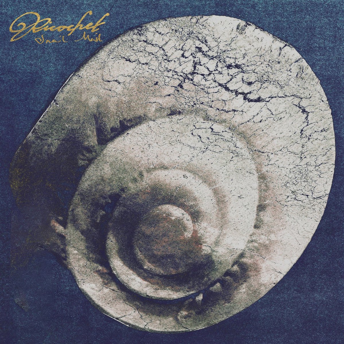 beggarsthailand's tweet image. Happy Release Day 🐌
Snail Mail โปรเจกต์ดนตรีของ Lindsey Jordan กลับมาพร้อมอัลบั้มใหม่ Ricochet ที่ถือเป็นก้าวสำคัญในเส้นทางดนตรีของเธอ ด้วยการหันมาสำรวจเนื้อหาในแง่มุมที่หนักและลึกซึ้งกว่าที่เคย

ฟังอัลบั้ม Ricochet ได้แล้ววันนี้

#SnailMail #Ricochet #MatadorRecords