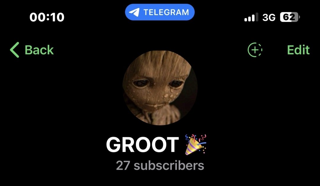 GROOT 🧞♂️🪄… tweet media