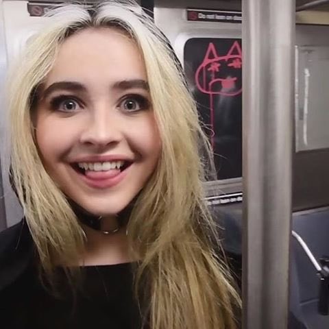 dani 🐾 tweet media