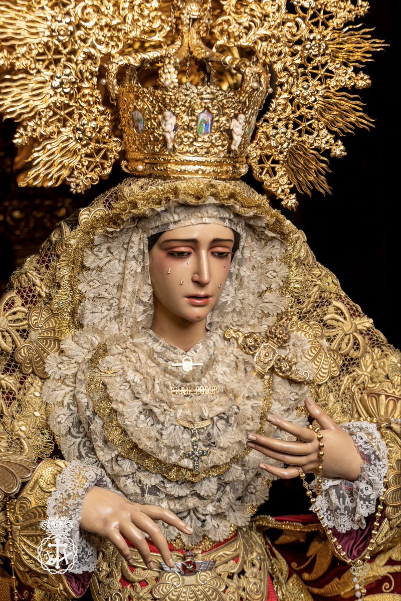 Misericordia Málaga tweet media