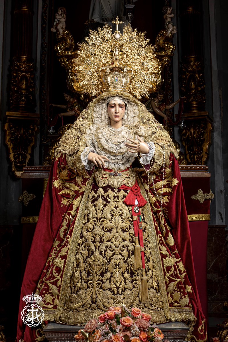 Misericordia Málaga tweet media