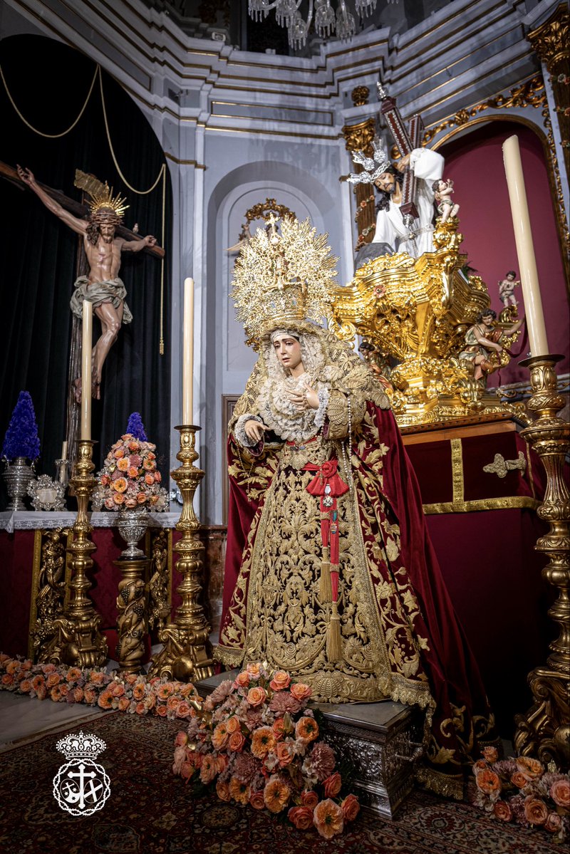 Misericordia Málaga tweet media