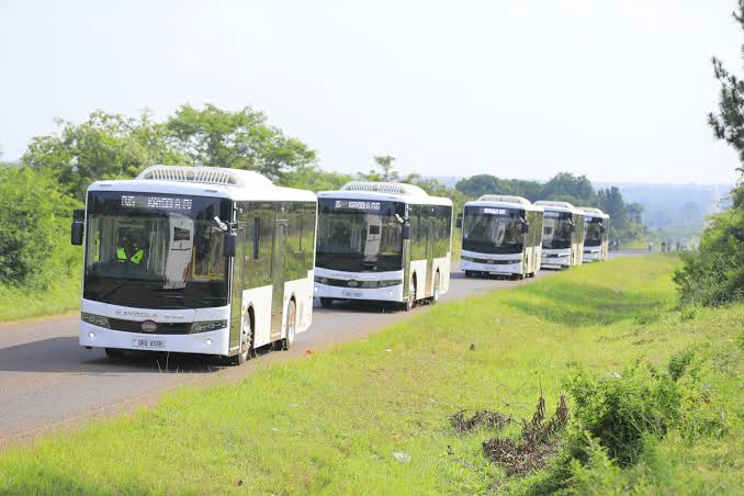 Burora Herbert Anderson tweet media