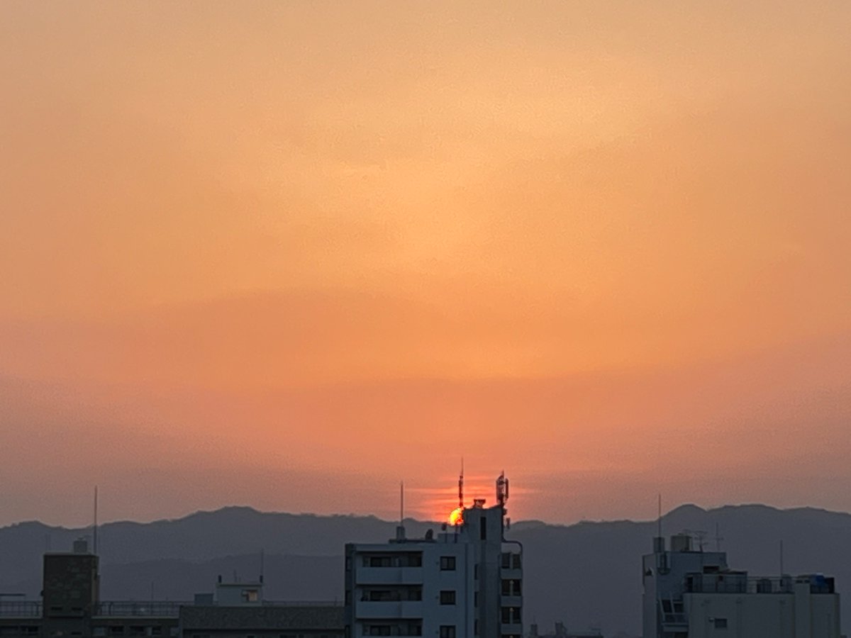 なかよし tweet media