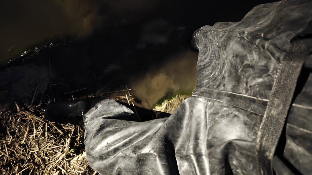 蛋dan君 tweet media