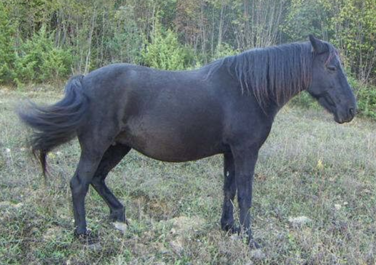 Eva Close tweet media