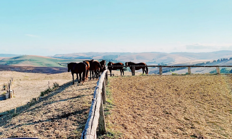 Eva Close tweet media