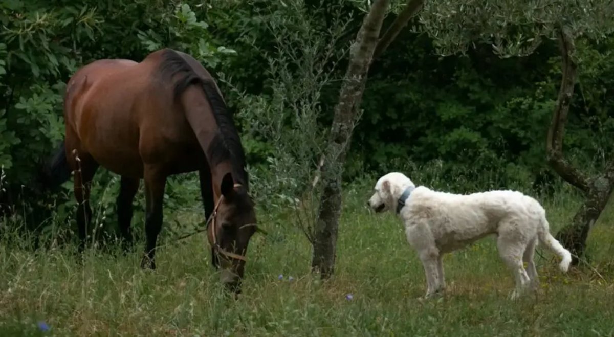 Eva Close tweet media