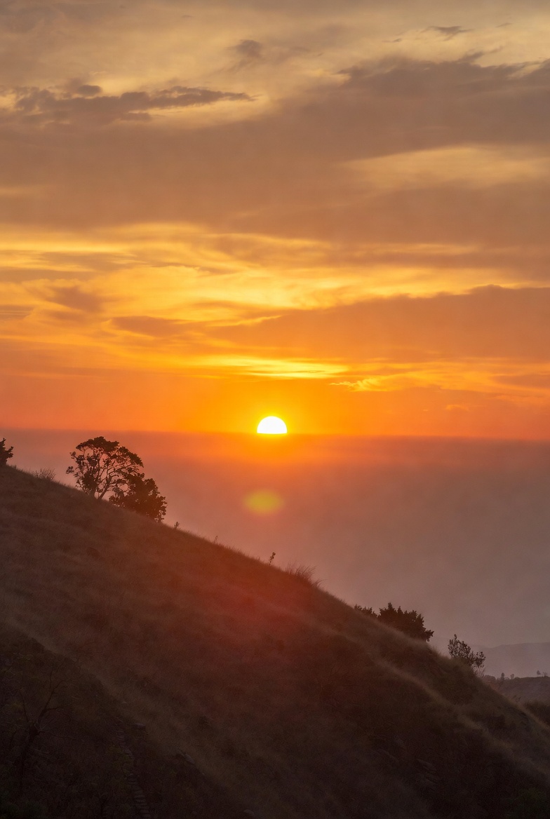 Shivay0x🐬 tweet media