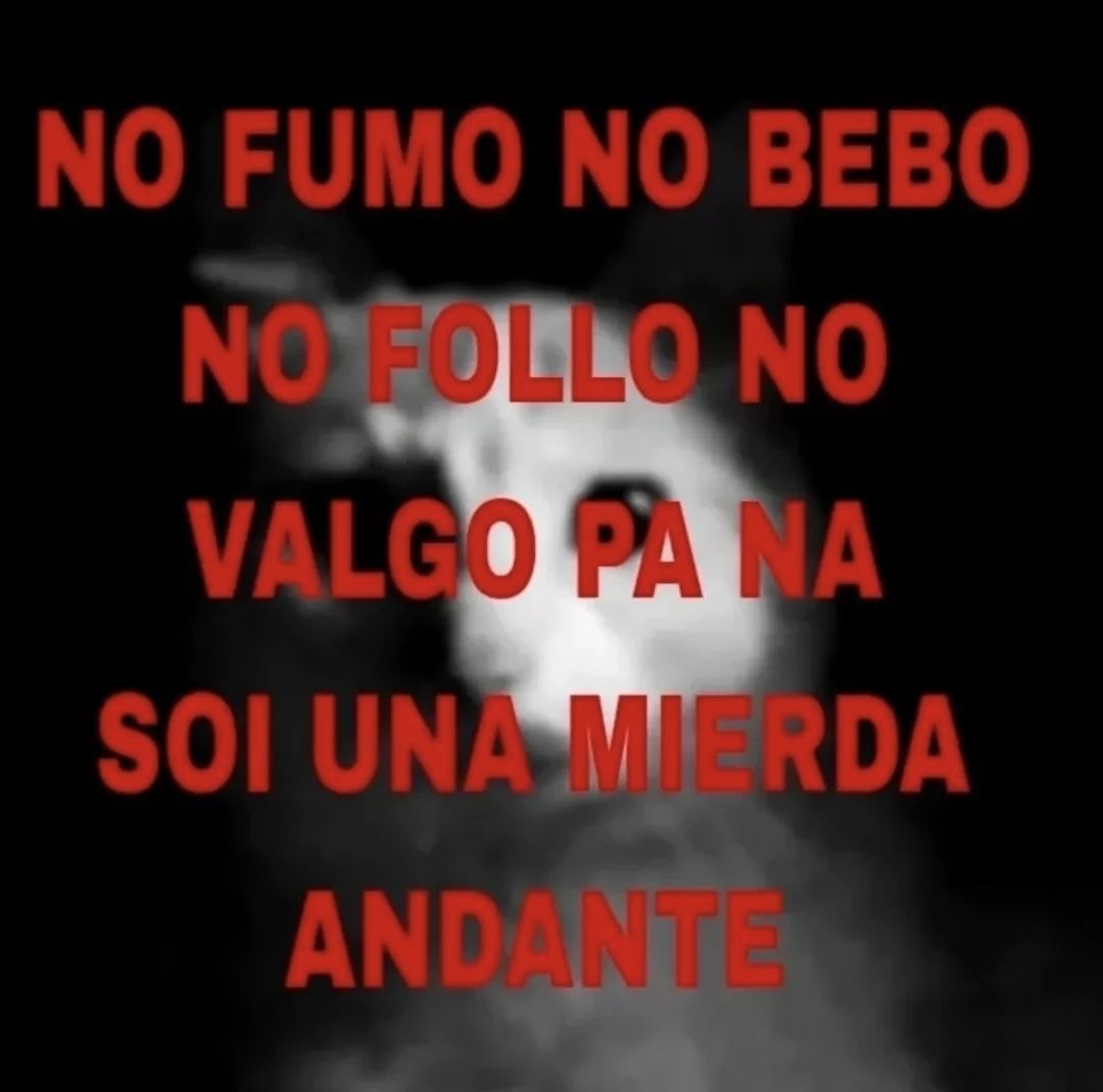 𓆩 luis 𓆪 tweet media