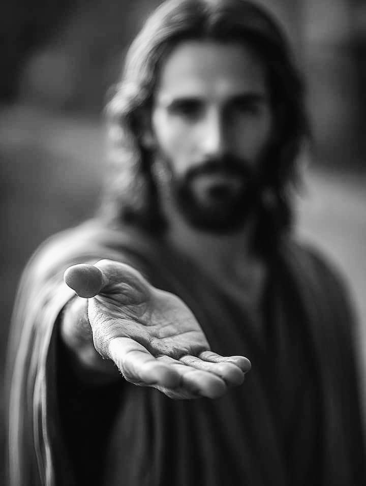 RosarySon tweet media