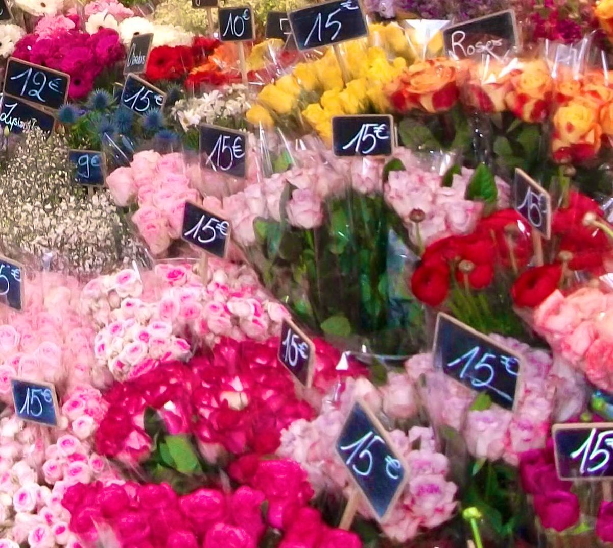 ͏ ͏ ͏ִֶָ tweet media