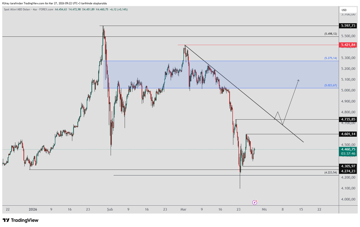 Kamile Uray tweet media