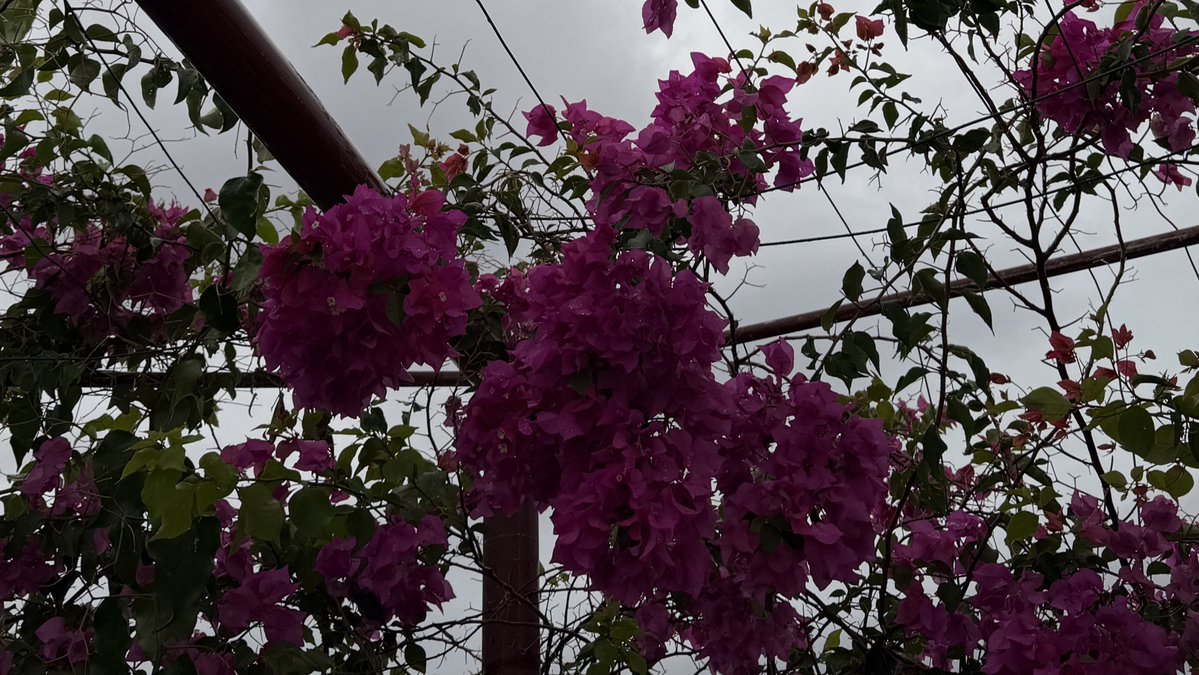 نُور | 👩🏻‍🎓 tweet media