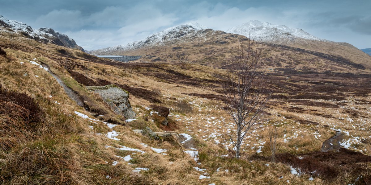 Steve Archer tweet media