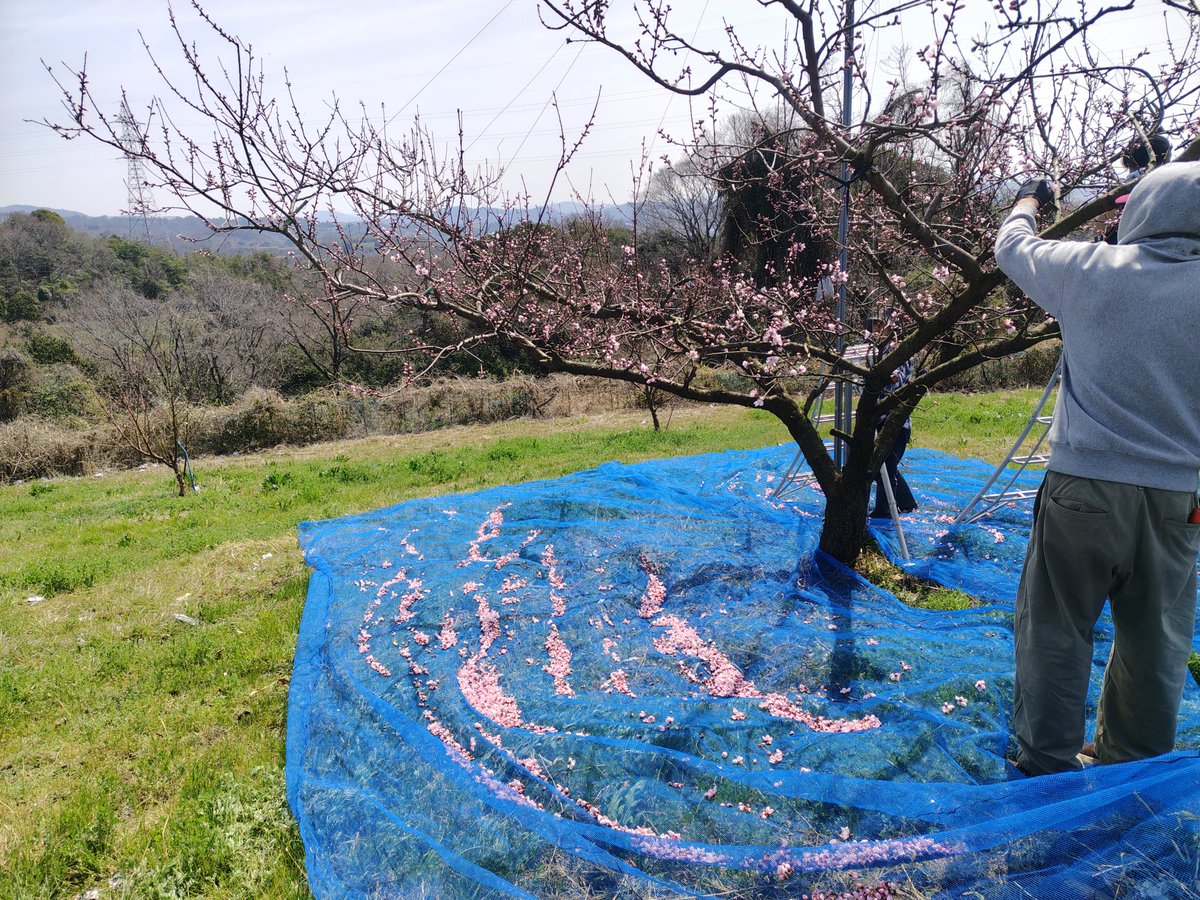 まさお tweet media