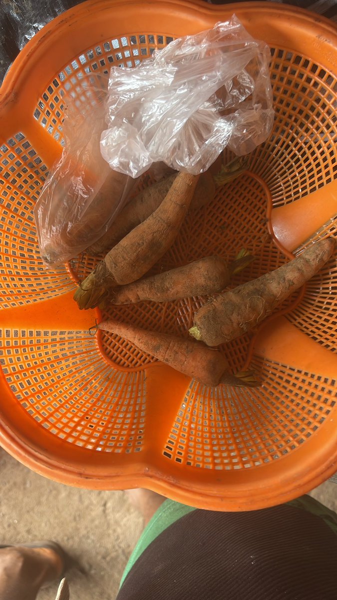 Saintbekee tweet media