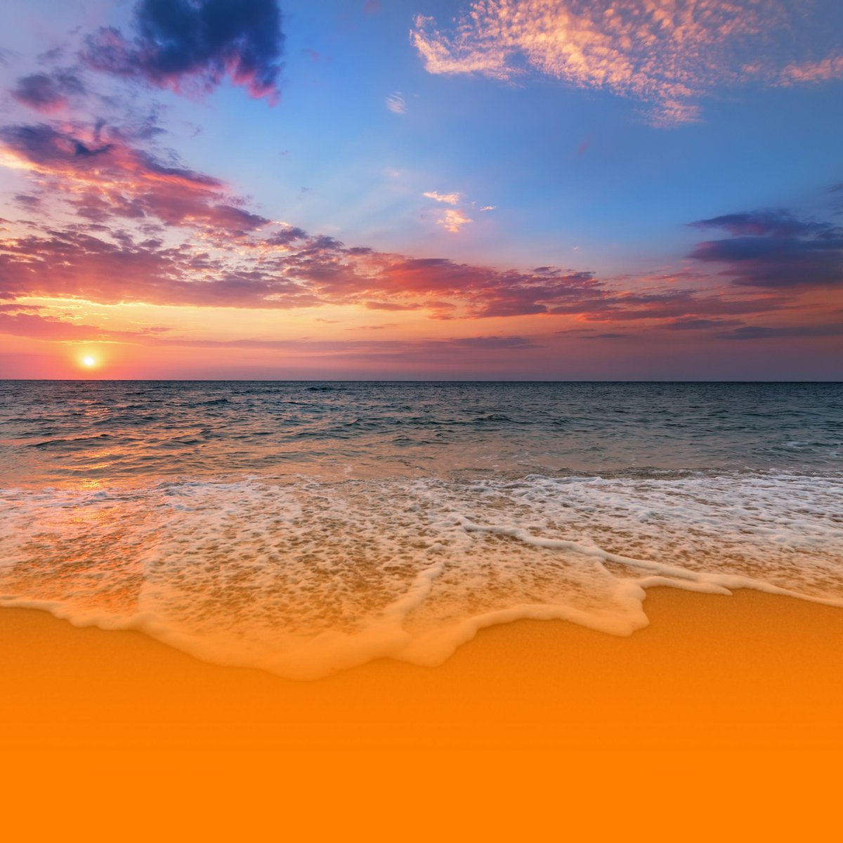 Tori Parker-Lacey tweet media