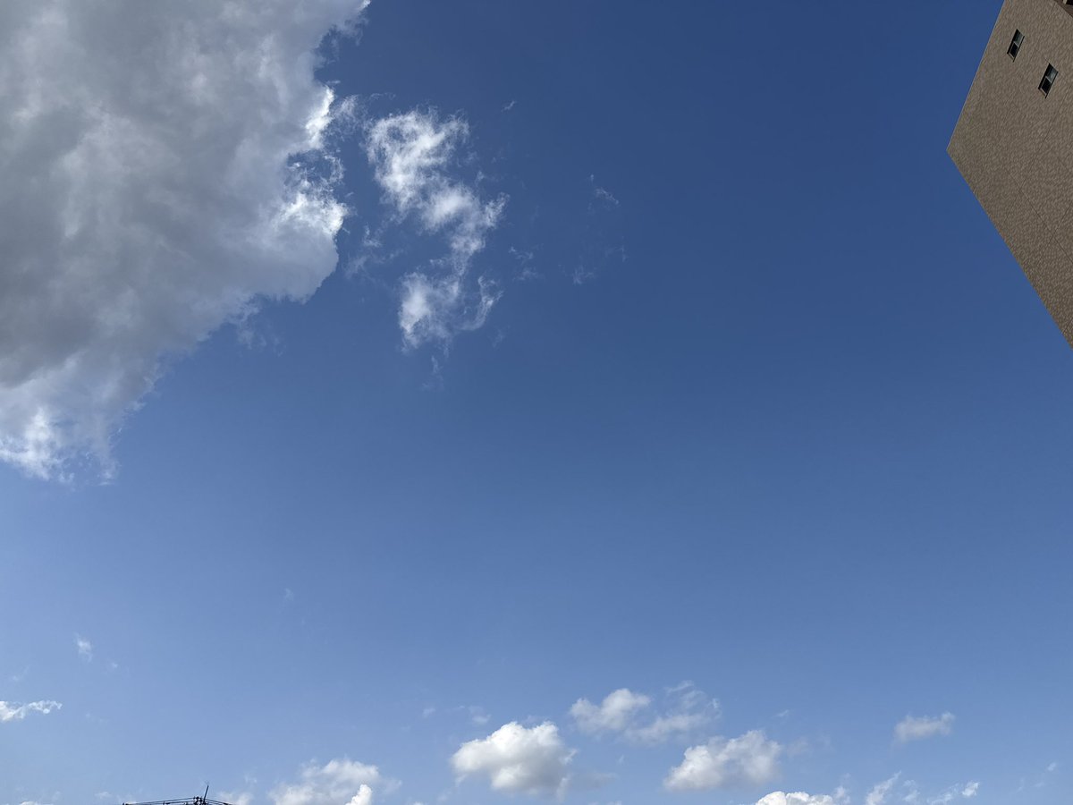 わ〜むぷる🦀@WNI tweet media