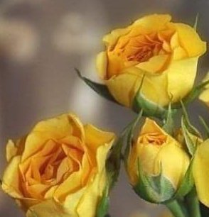 #عاشق_بحر_الخيال 🇵🇸🗝️ tweet media