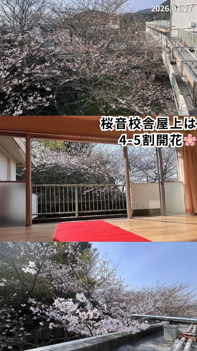 白野江廃校コスプレ部 tweet media