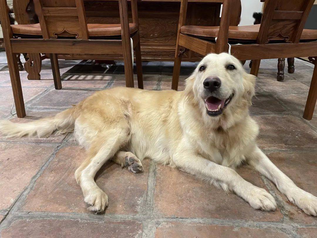 Leonardo Henrique tweet media