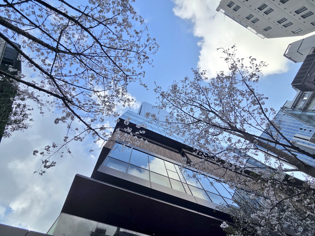 ここしょー tweet media