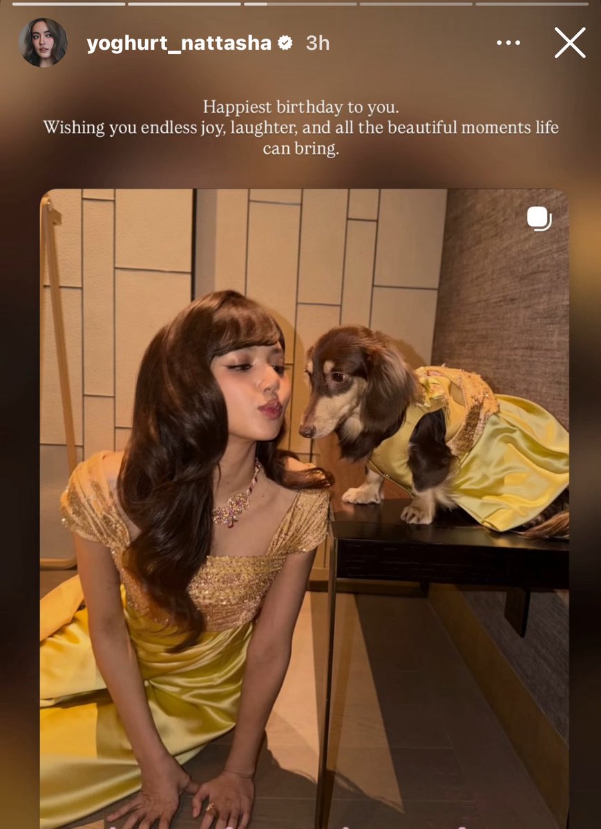 LALICE UPDATES tweet media