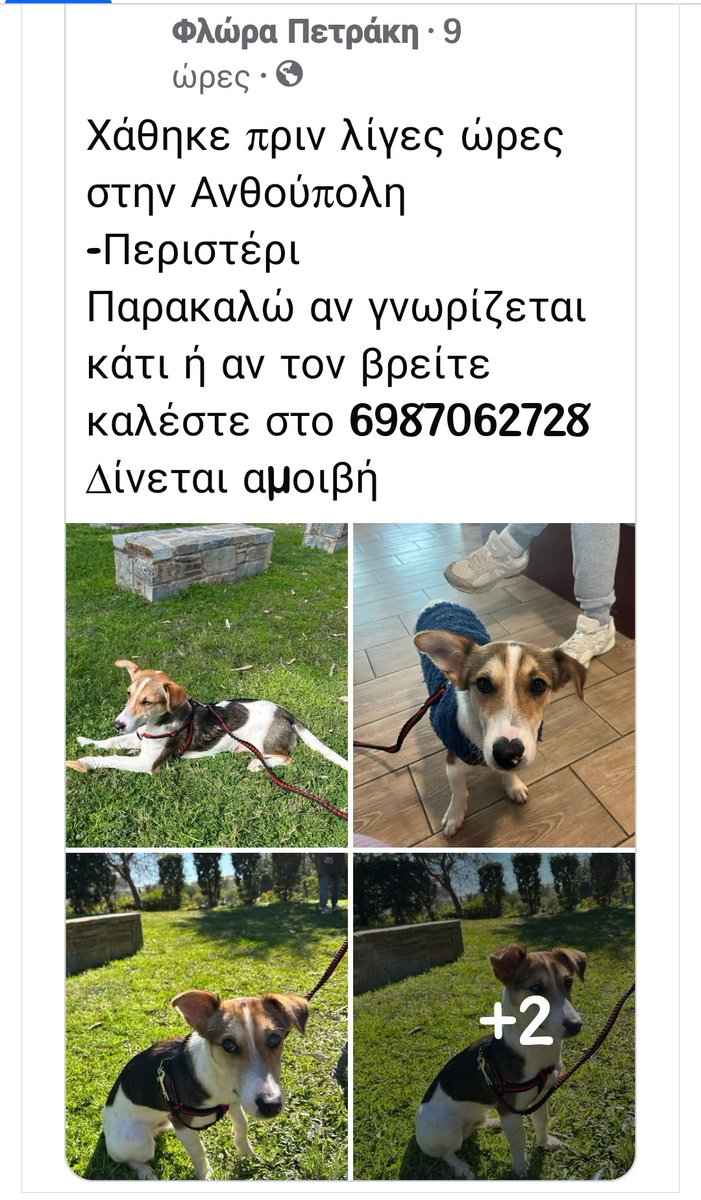 εφη απλα tweet media