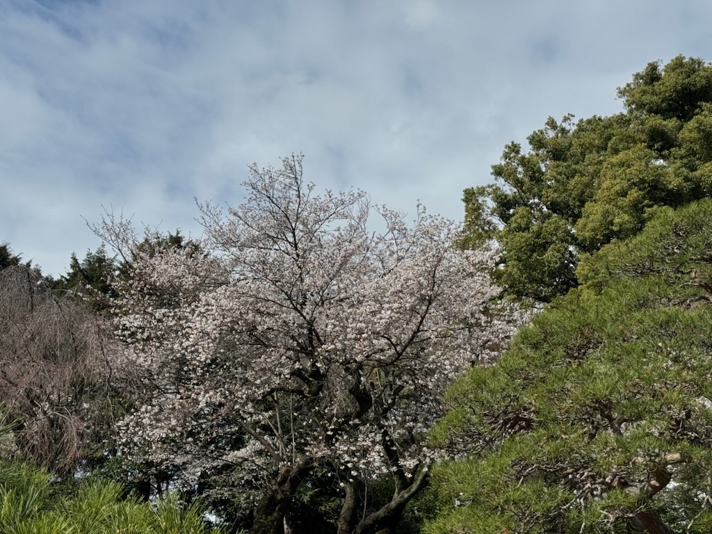 ホテル椿山荘東京 tweet media
